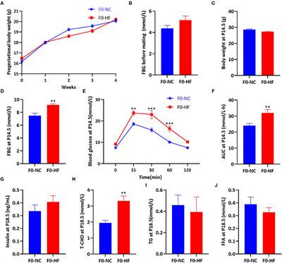 Maternal High-Fat Diet Impairs Placental Fatty Acid β-Oxidation and Metabolic Homeostasis in the Offspring